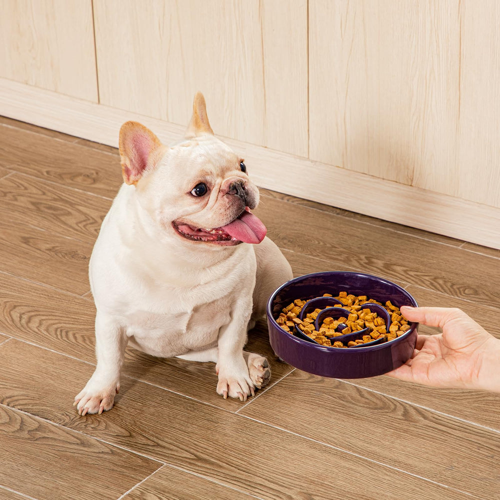 Usage quotidien Vancasso pour petits chiens et chats.
