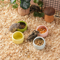 Gammelle VanEnjoy en céramique jaune pour petit animal, évite les éclaboussures