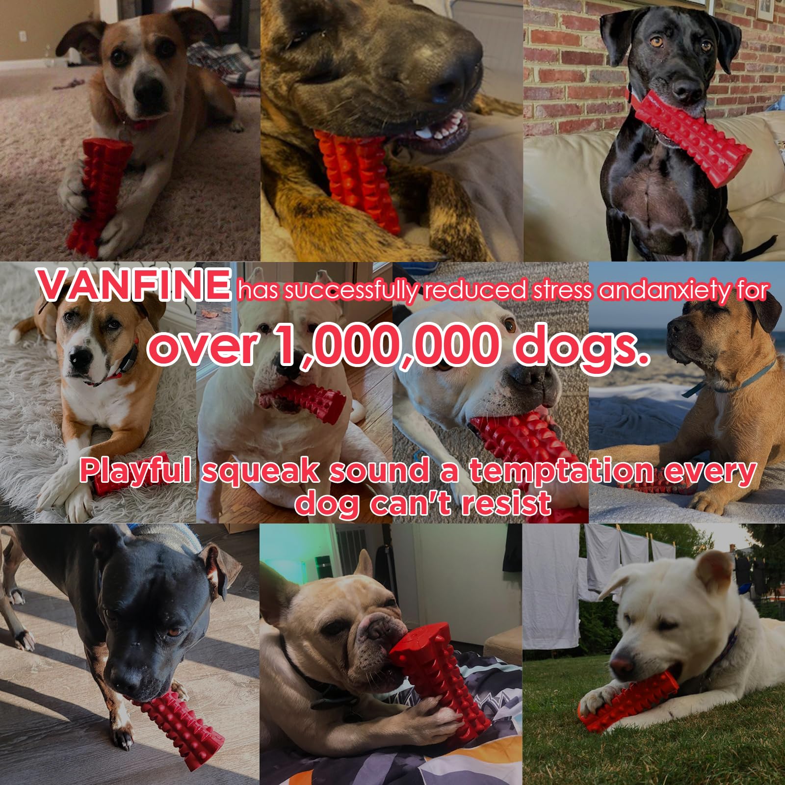 VANFINE Sifflement: jouet qui siffle pour stimuler et divertir le chien.