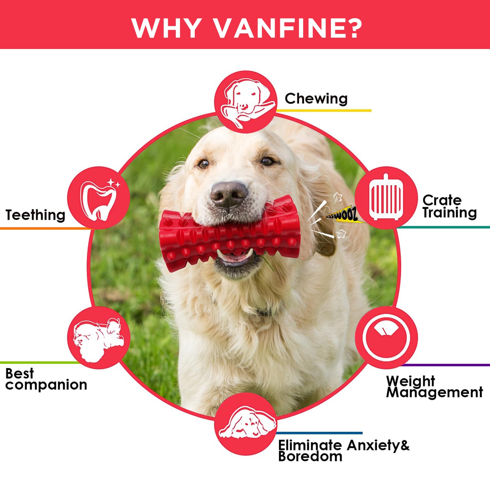 VANFINE: surface texturée pour nettoyer les dents et réduire la plaque.