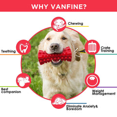 VANFINE: surface texturée pour nettoyer les dents et réduire la plaque.