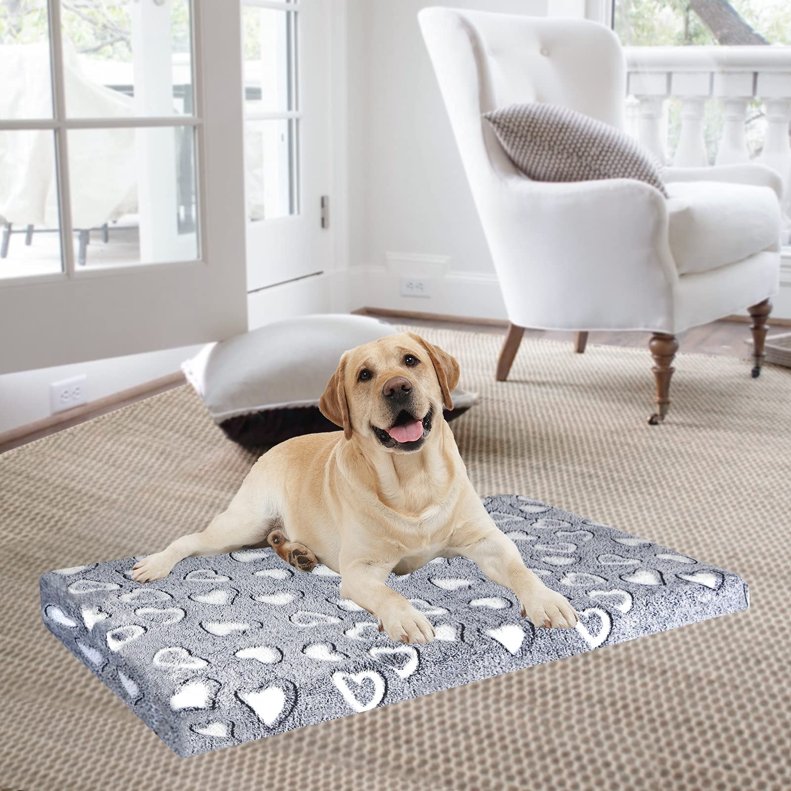 Taille L adaptée pour chiens jusqu’à 70 livres.