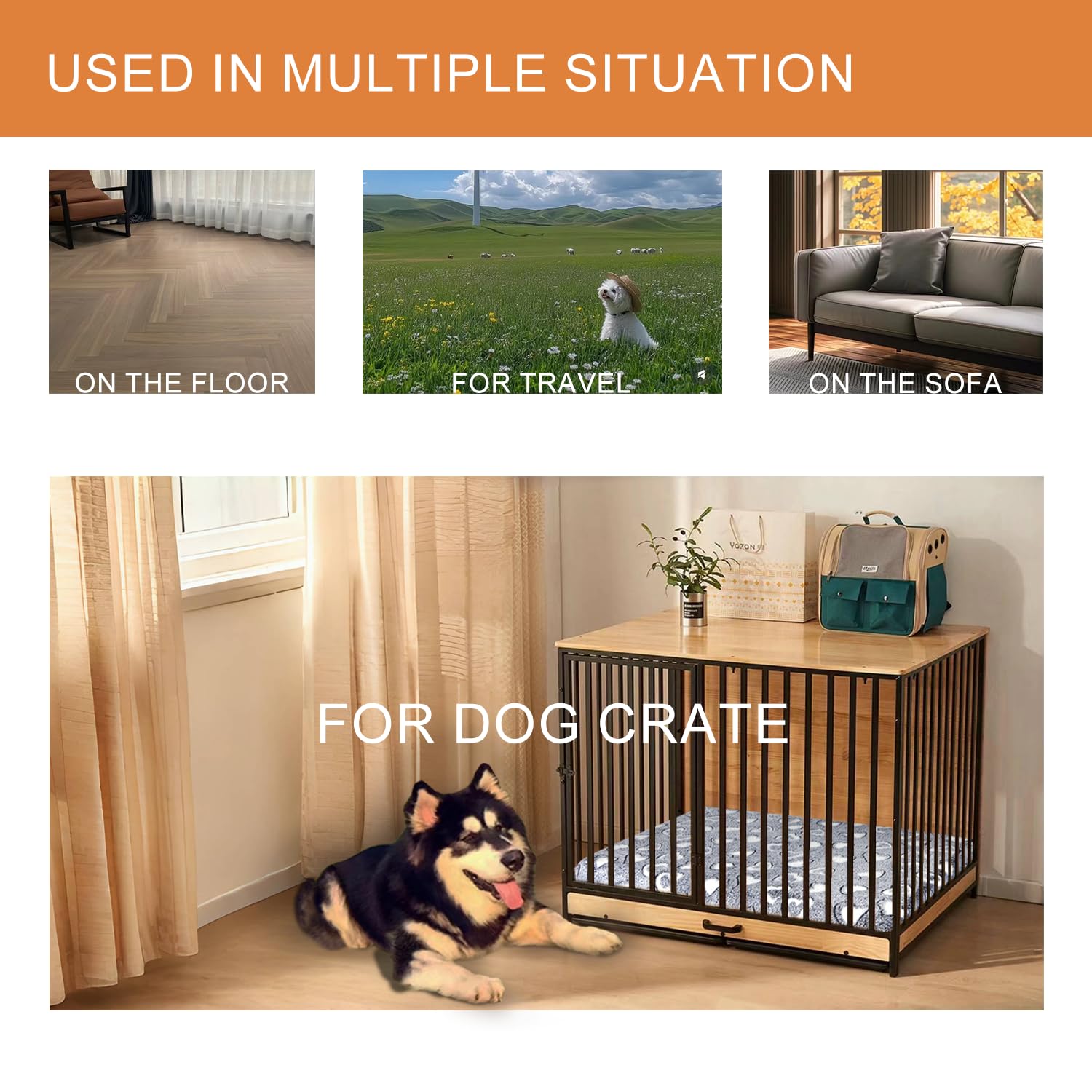 Taille S idéales pour petits chiens et chats.