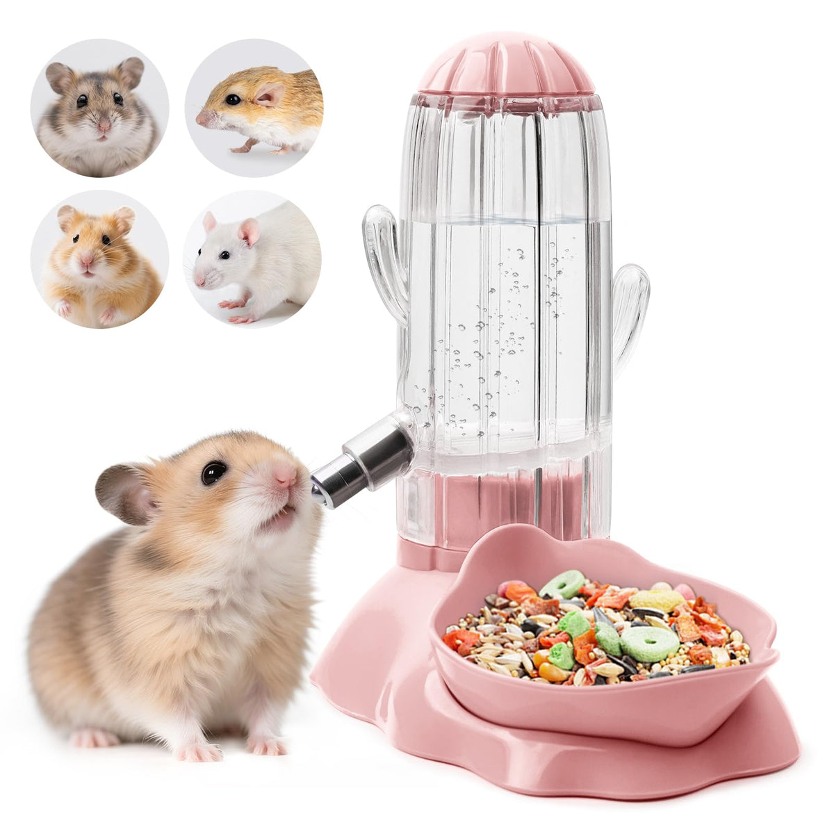 Vannon 2 en 1: distributeur d'eau et bol pour hamster, gain d'espace