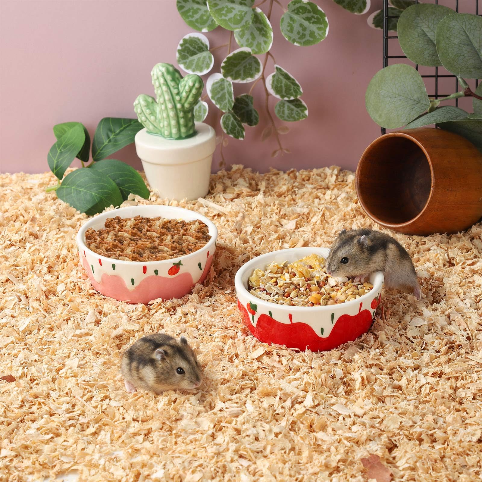 Bol d’alimentation VanEnjoy pour petits animaux en céramique, ouverture large