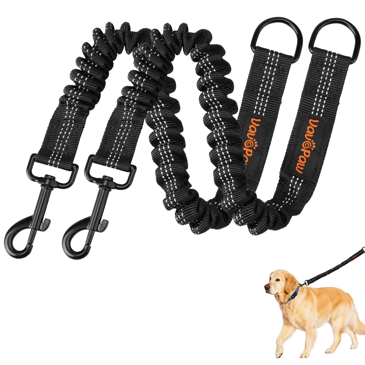 VavoPaw Extenseur Bungee avec clip 360°, réduit les enchevêtrements et améliore le contrôle.