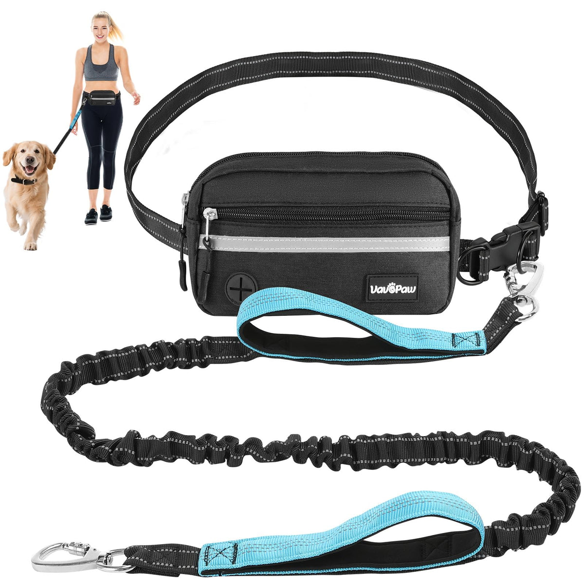 VavoPaw laisse mains libres avec ceinture pour des balades sans encombre et en détente.