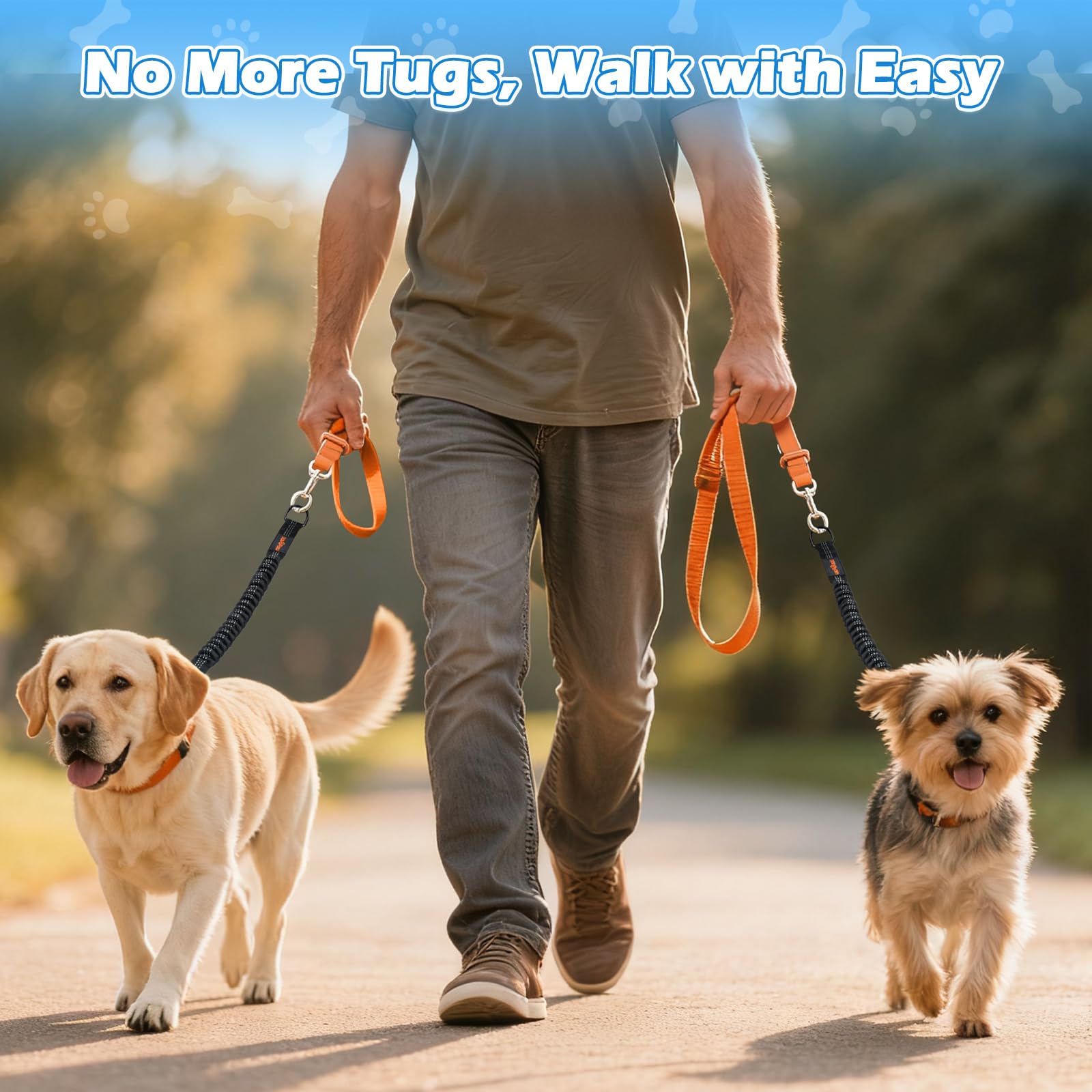 VavoPaw Pack Double d'Extenseurs Bungee pour deux chiens.
