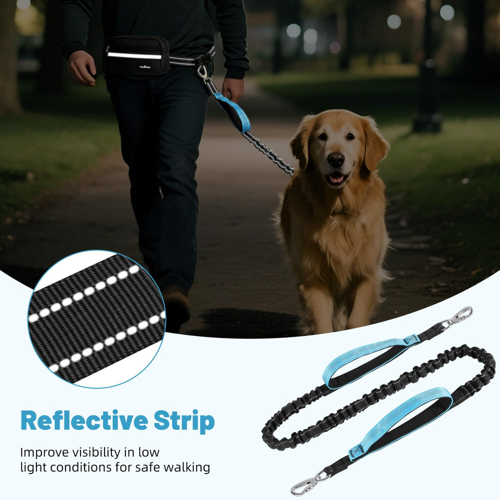 VavoPaw promenade chien – pratique et sans tenir la laisse.
