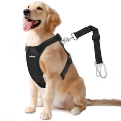 Harnais sécurité VavoPaw pour chien en voiture, voyage plus sûr et confortable.