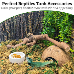 VCEPJH branche-escalade-chameleon-terarium, espace vertical pour grimper et se reposer.