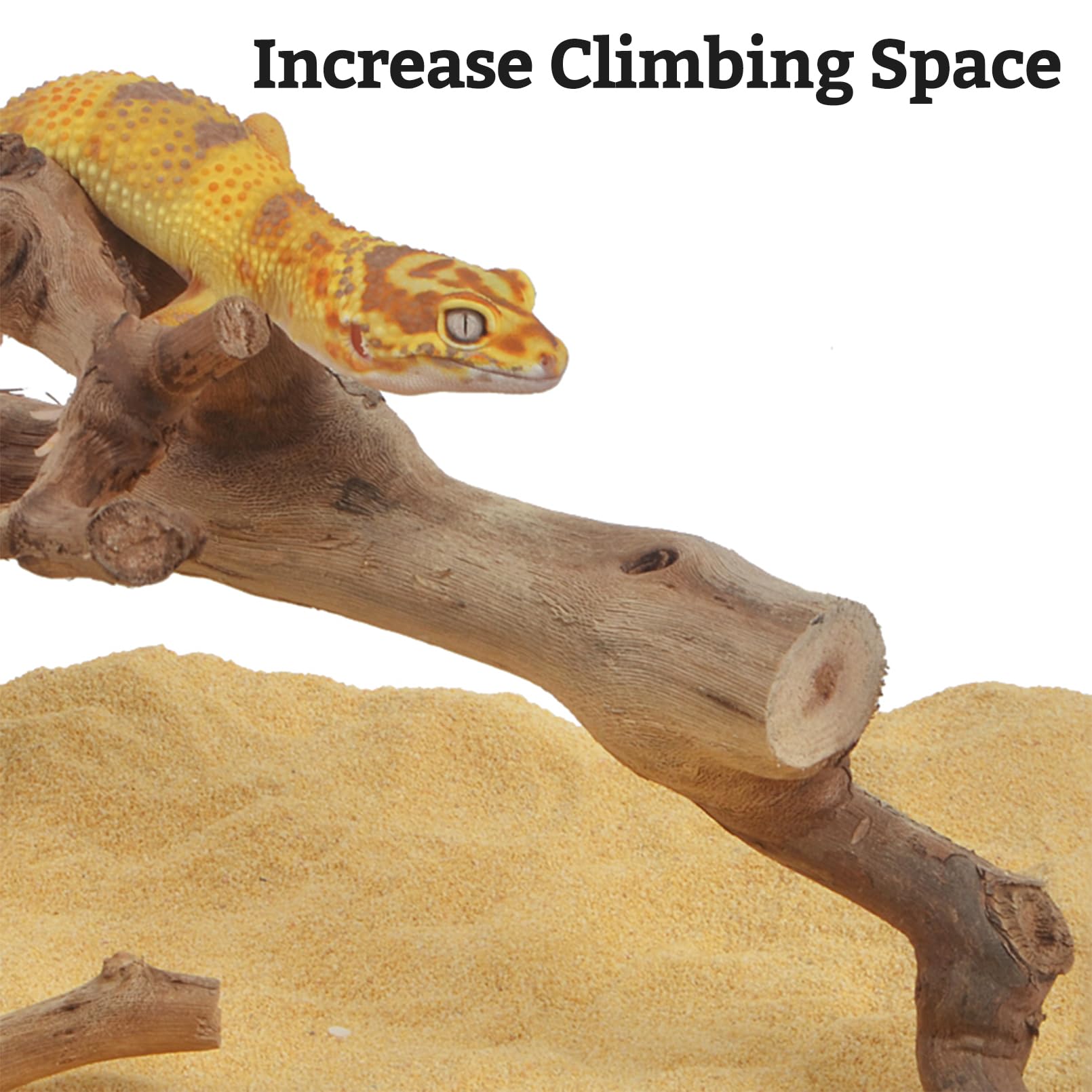 VCEPJH branche-escalade-gecko-terarium, rendu réaliste et habitat stimulant.