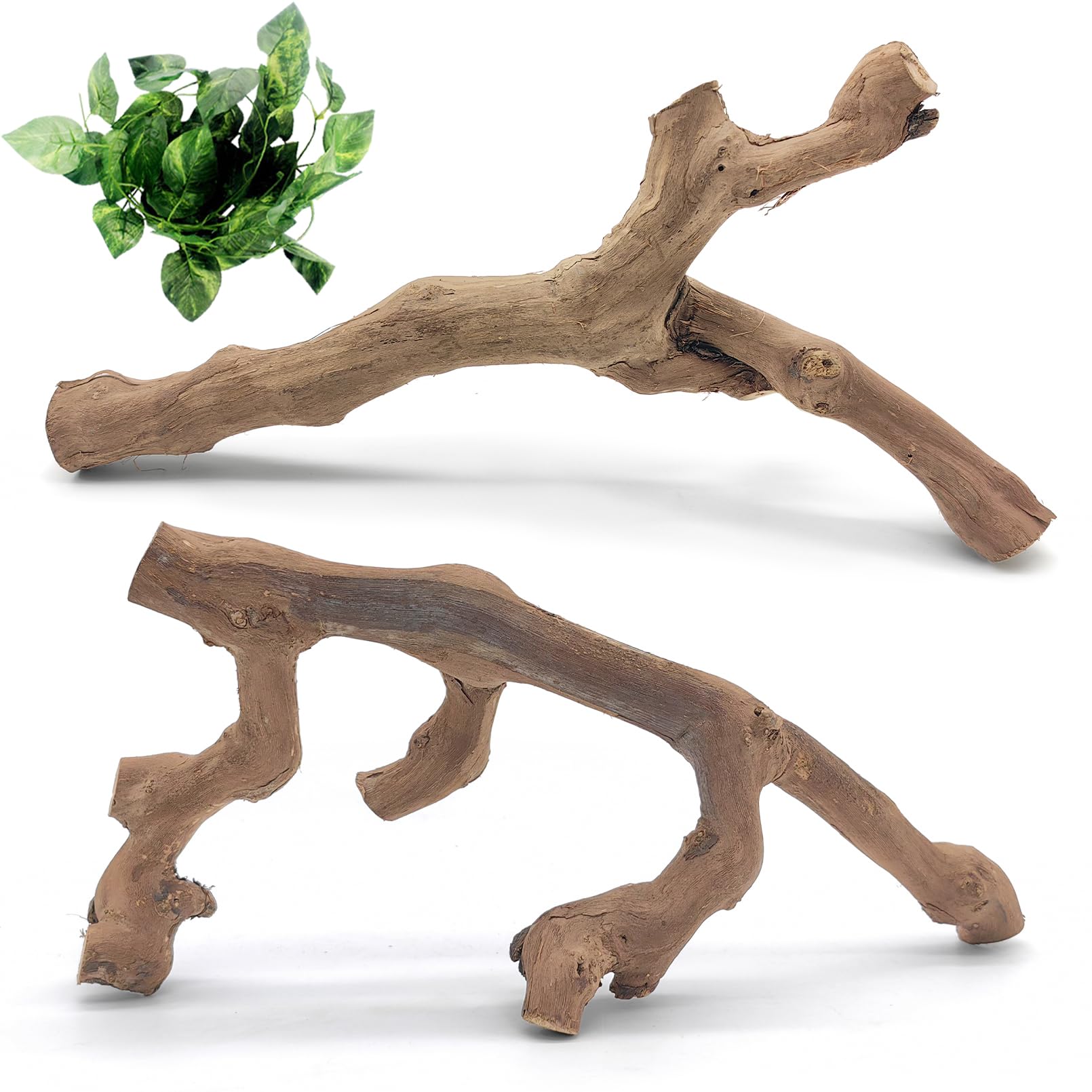 VCEPJH branche-escalade-serpent-bois-naturel, favorise l'exercice et l'exploration.