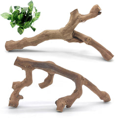 VCEPJH branche-escalade-serpent-bois-naturel, favorise l'exercice et l'exploration.
