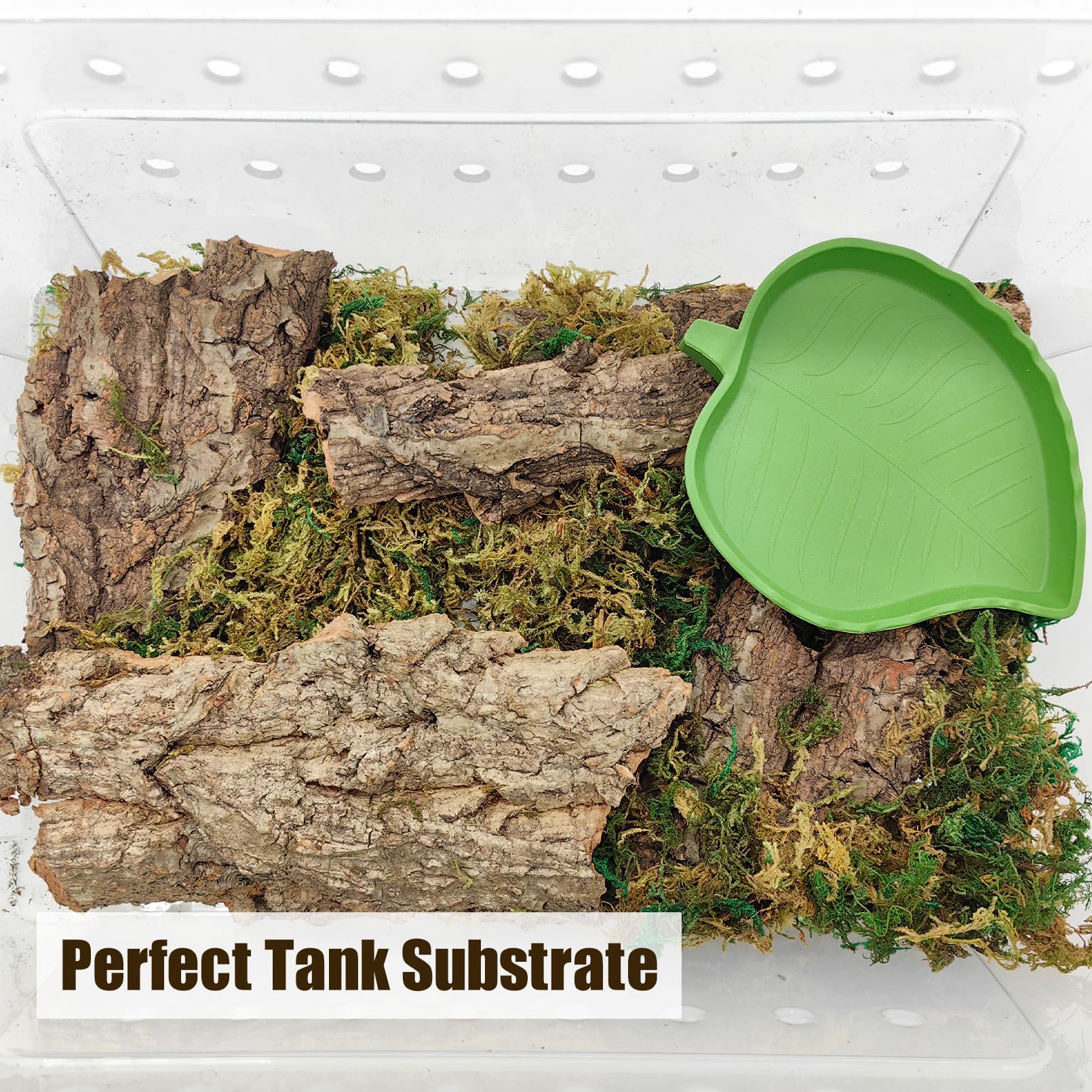 VCEPJH écorce liège compatible avec la plupart des reptiles.