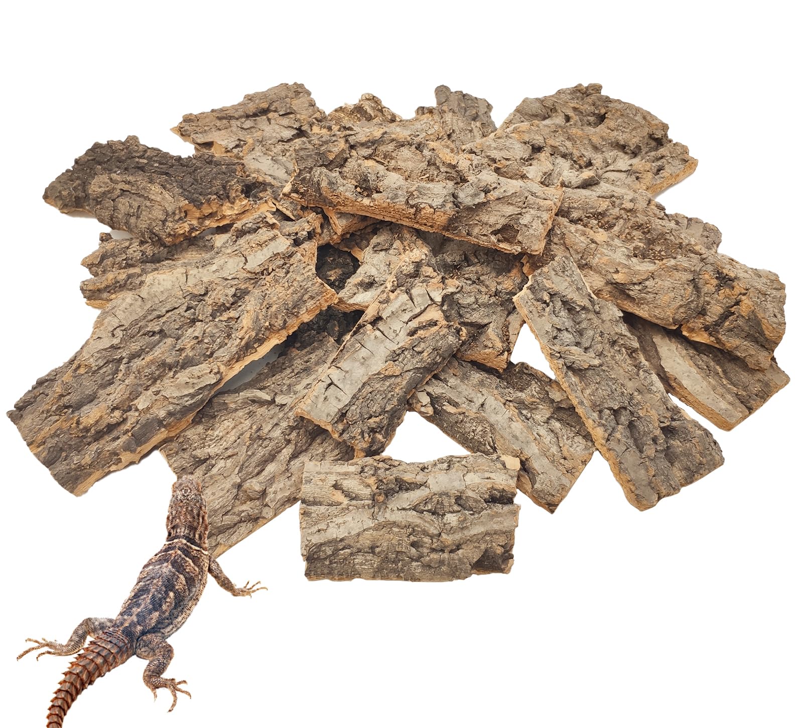 Écorce de liège VCEPJH 1,5 lb, substrat sûr et stimulant pour reptiles.
