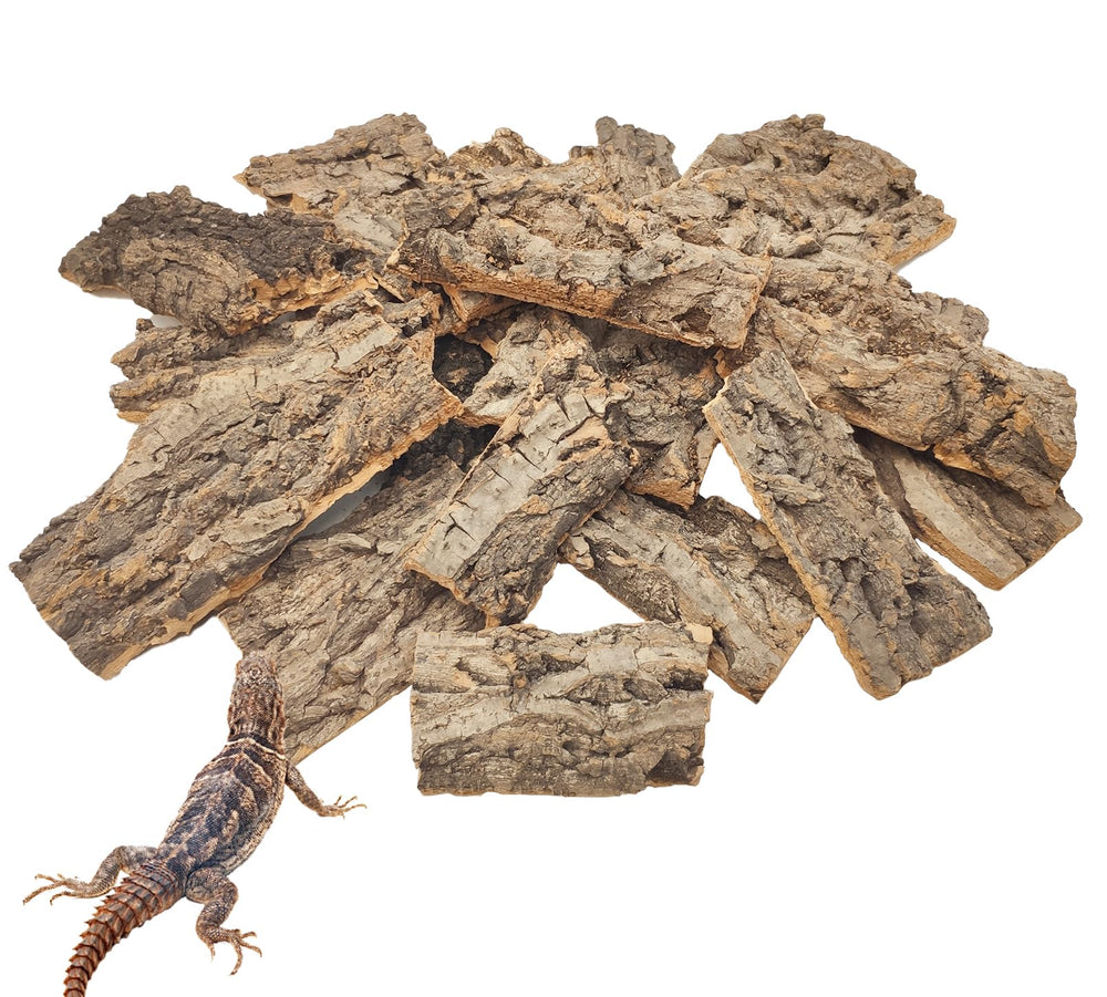 Écorce de liège VCEPJH 1,5 lb, substrat sûr et stimulant pour reptiles.