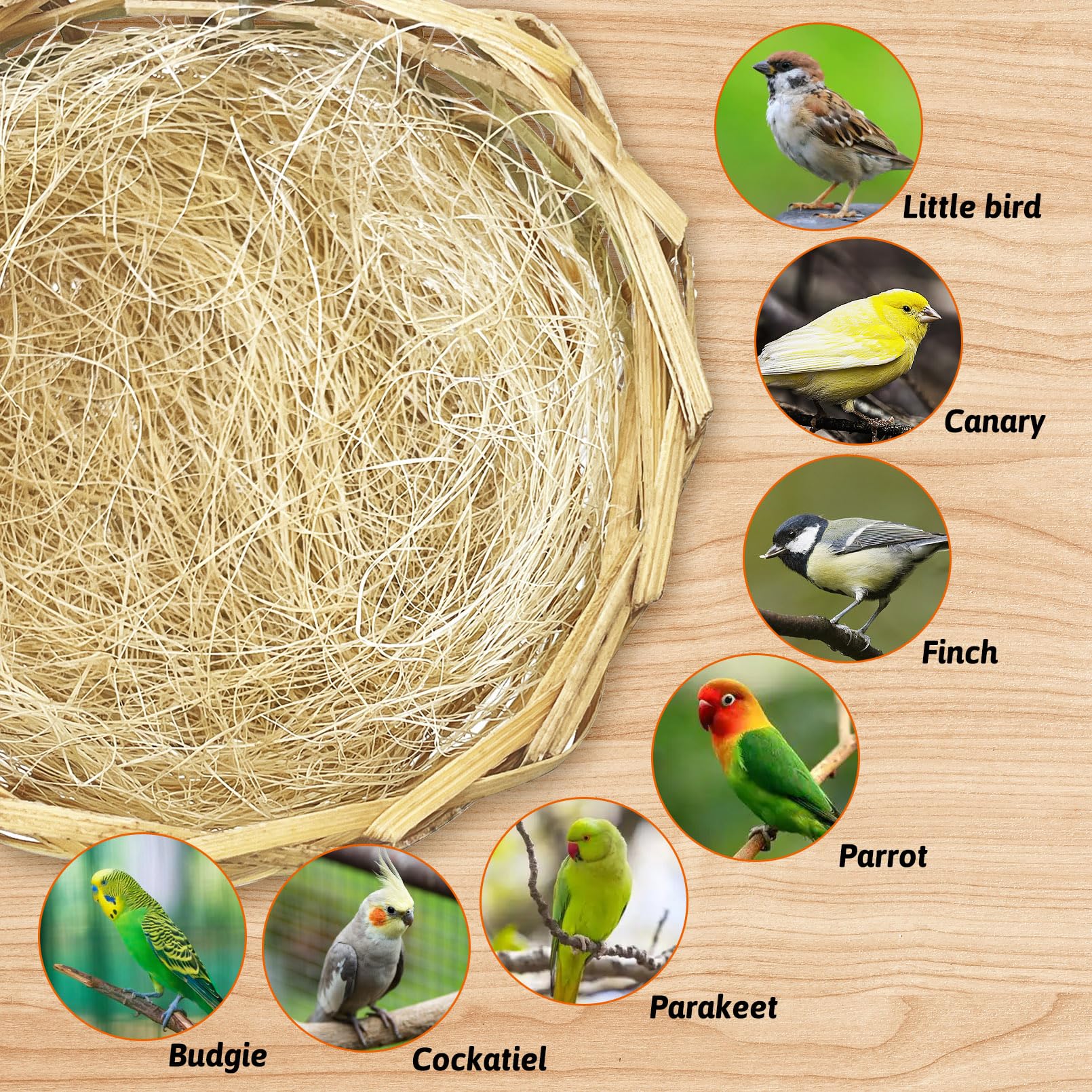 Nid pour cacatoès VCEPJH, adaptabilité pour petits oiseaux.