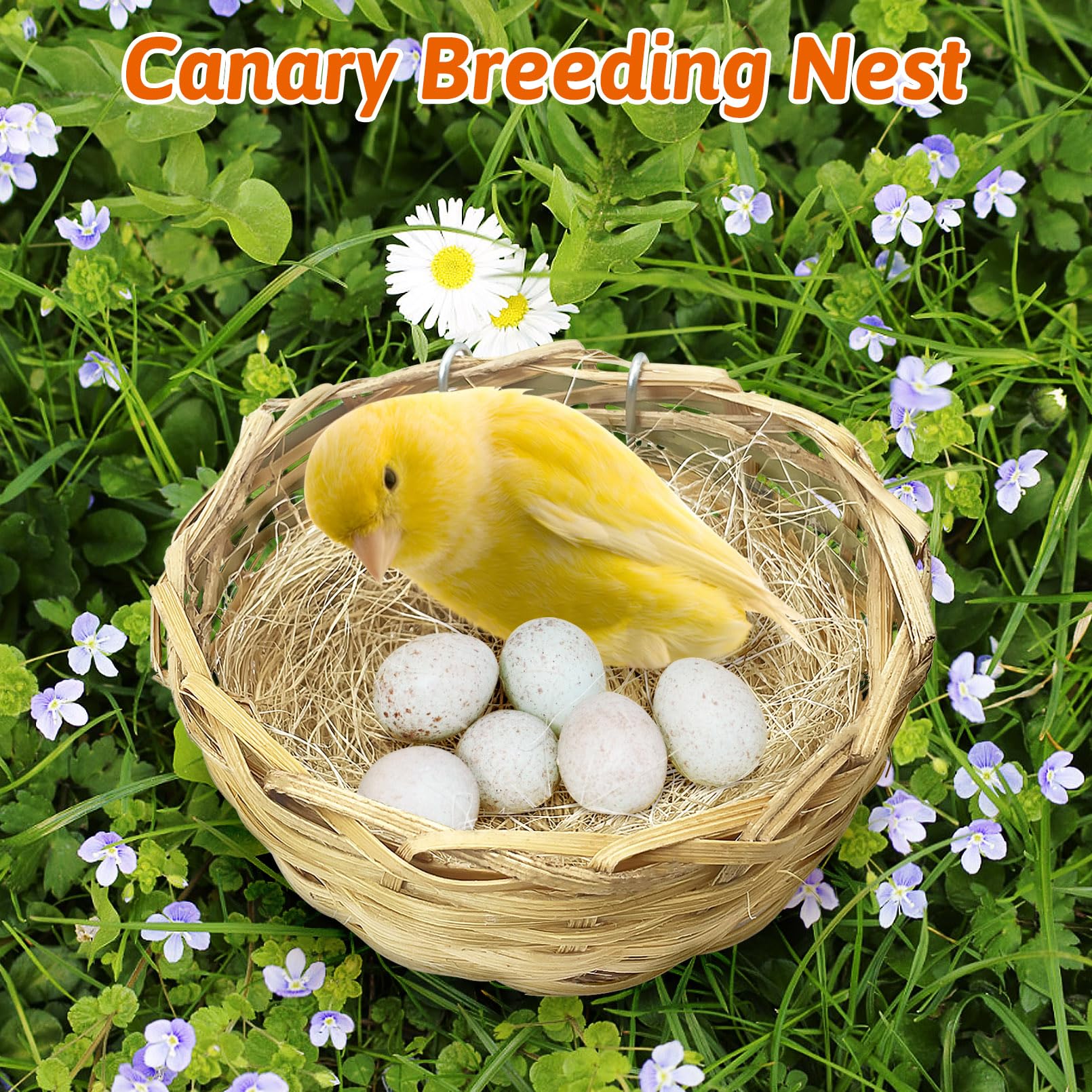 Nid pour canari par VCEPJH, utilisation polyvalente en cage.