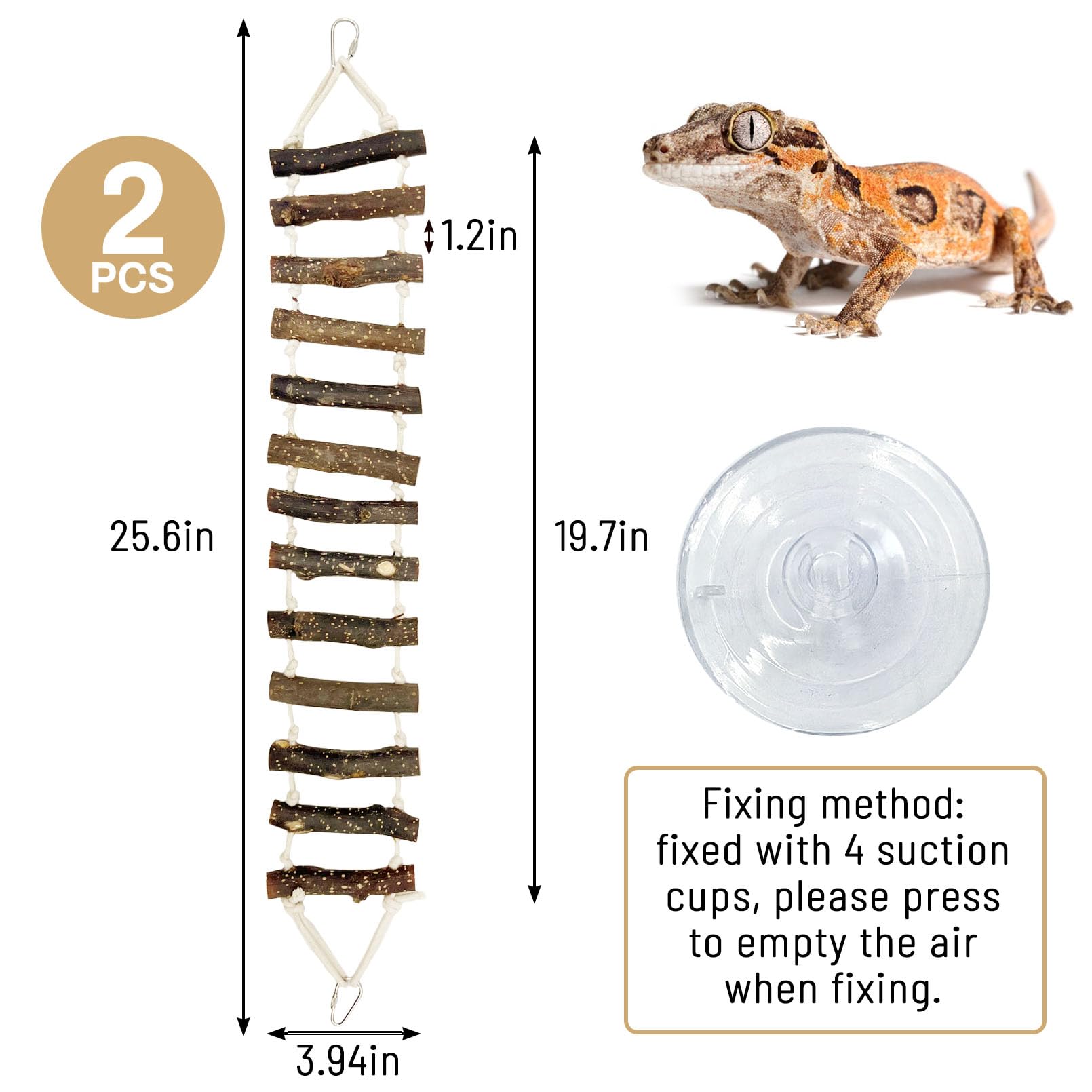 Palier réptile VCEPJH, plateforme polyvalente pour reptiles.
