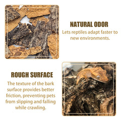 VCEPJH parfum naturel terrarium crée ambiance naturelle et apaisante