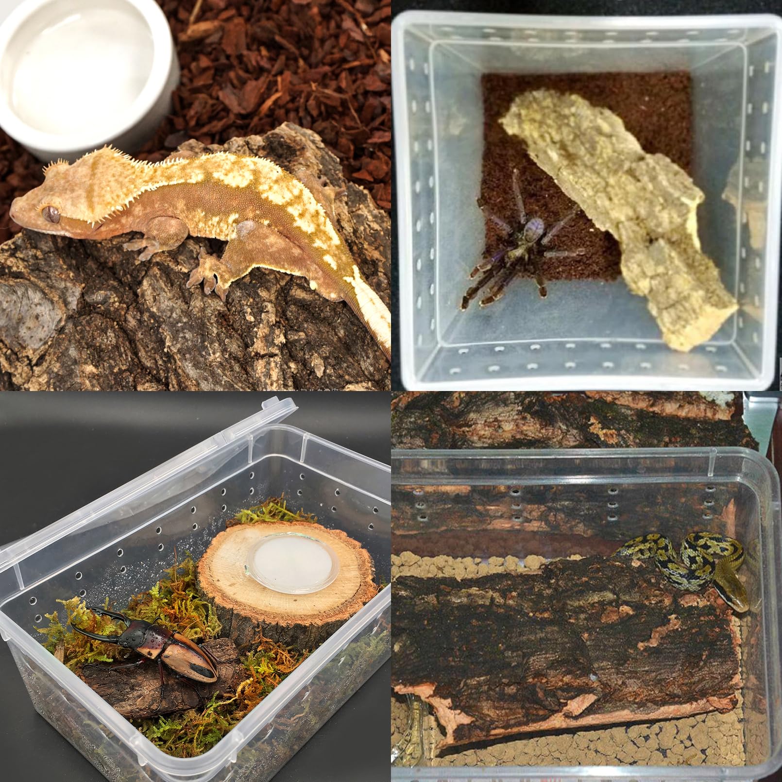 VCEPJH utilisation polyvalente terrarium décor et litière