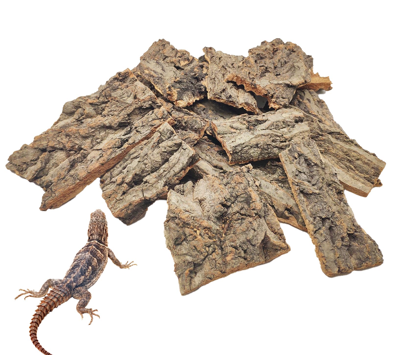 VCEPJH écorce liège terarium 1lb : base naturelle et sûre pour votre reptile.