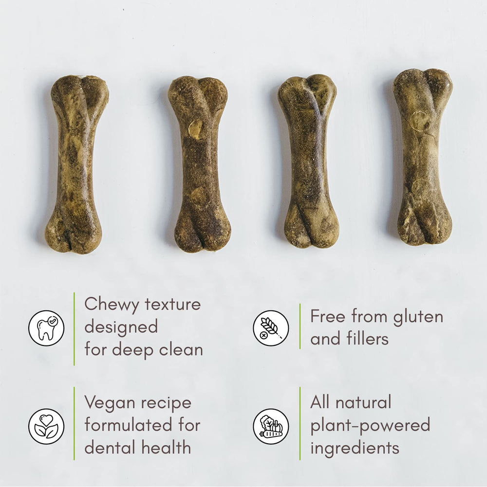 V-dog Breathbone graines de chia pour dents et os