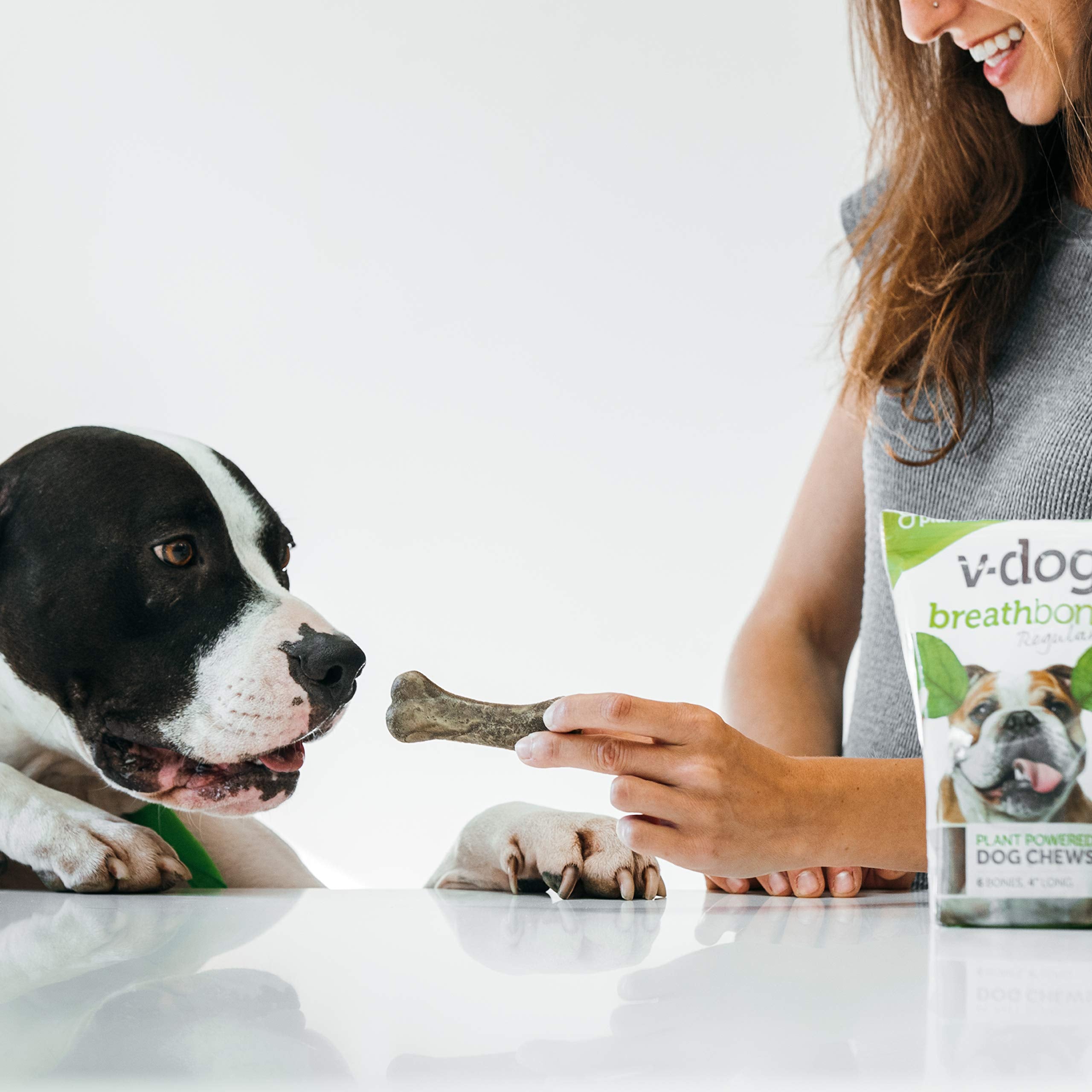 V-dog Breathbone utilisation quotidienne simple après repas