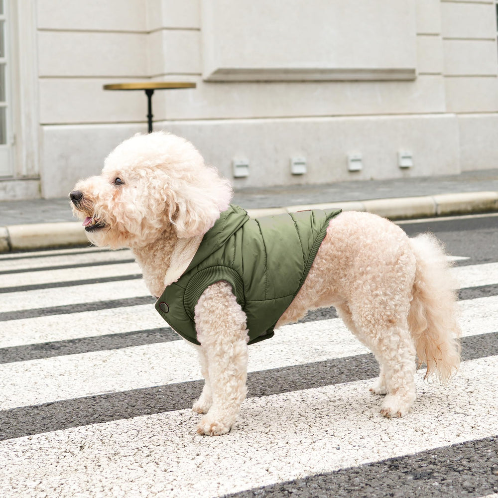 Vecomfy doudoune chien capuche protection oreilles, sortie hivernale agréable.