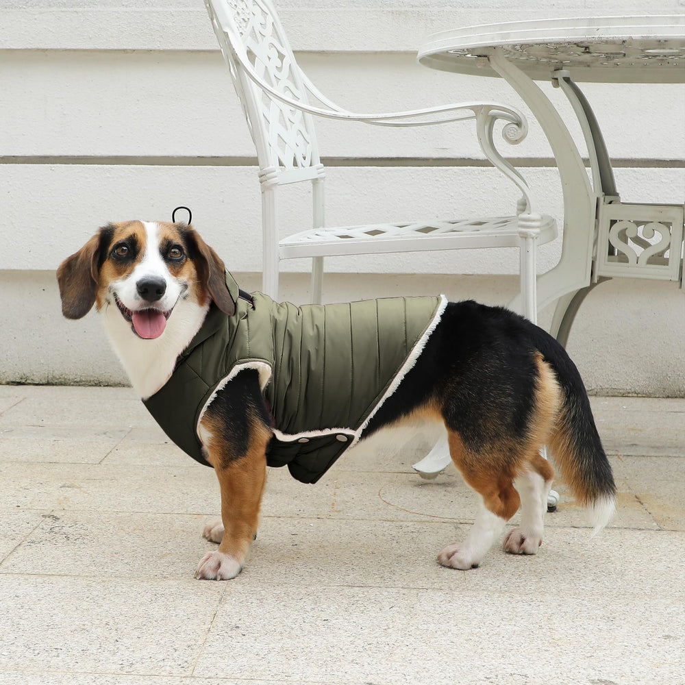 Doudoune Vecomfy pour chien en polaire, douceur et chaleur pour grandes balades.