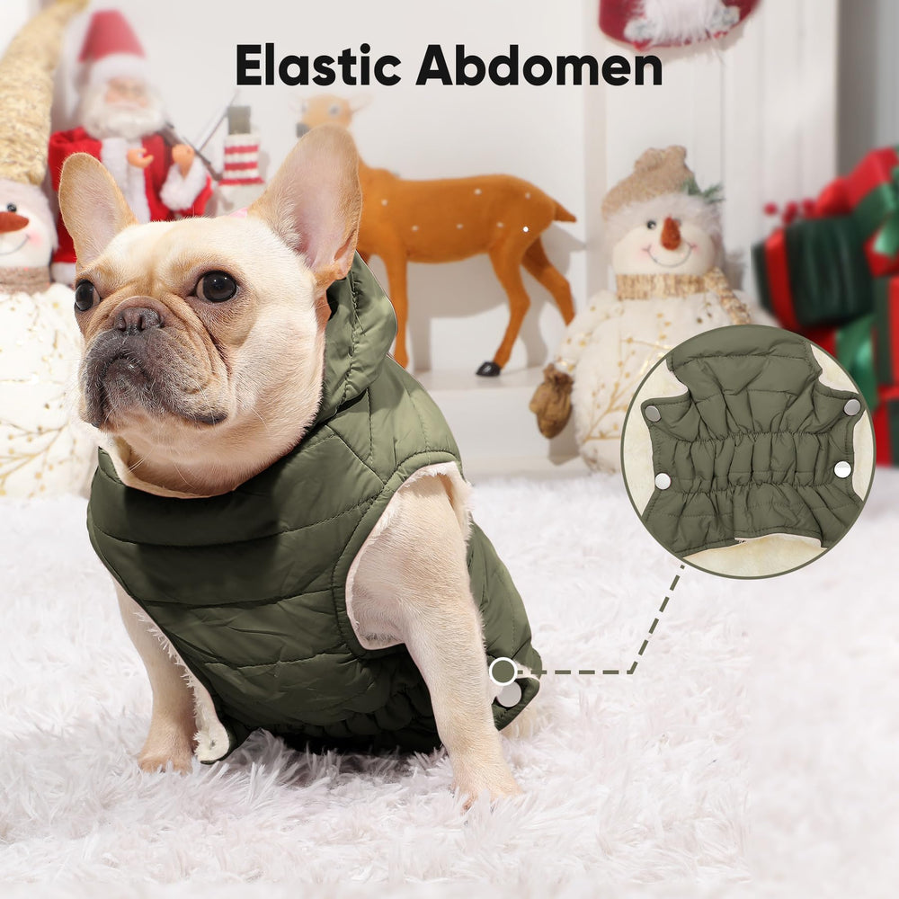 Manteau Vecomfy pour chien avec harnais intégré, sécurité renforcée lors des promenades.