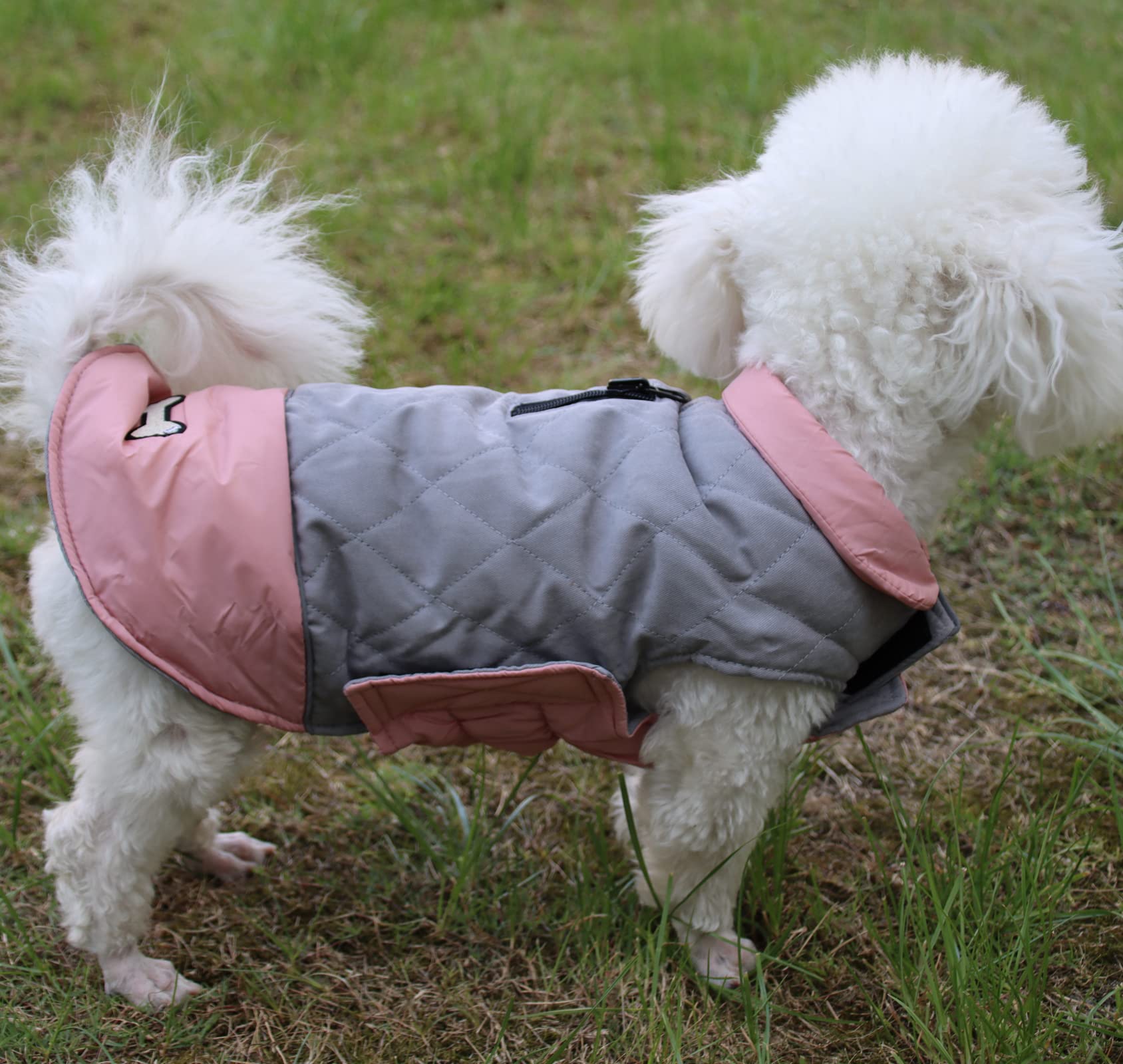 Manteau Vecomfy imperméable pour chien, protection lors des intempéries