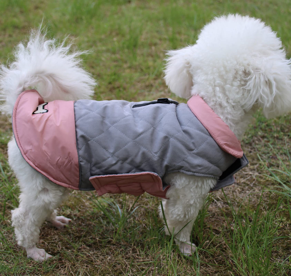 Manteau Vecomfy imperméable pour chien, protection lors des intempéries