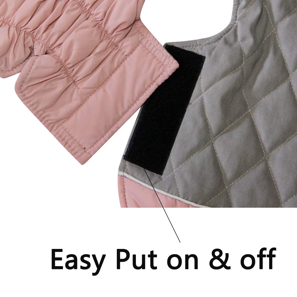 Manteau Vecomfy pour chien, partie réfléchissante, sécurité nocturne.