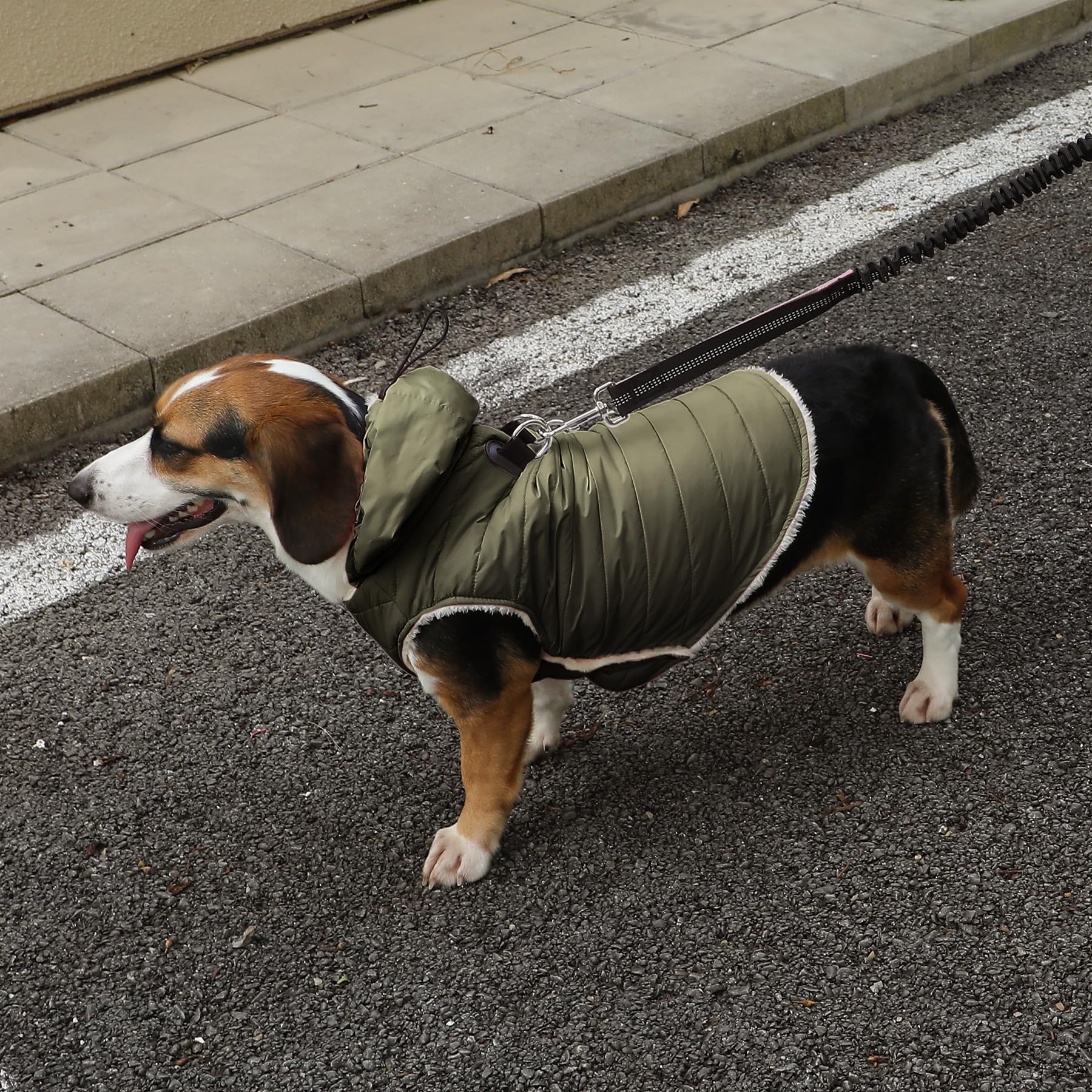 Veste Vecomfy chaude et légère pour chiens, respirante et durable.