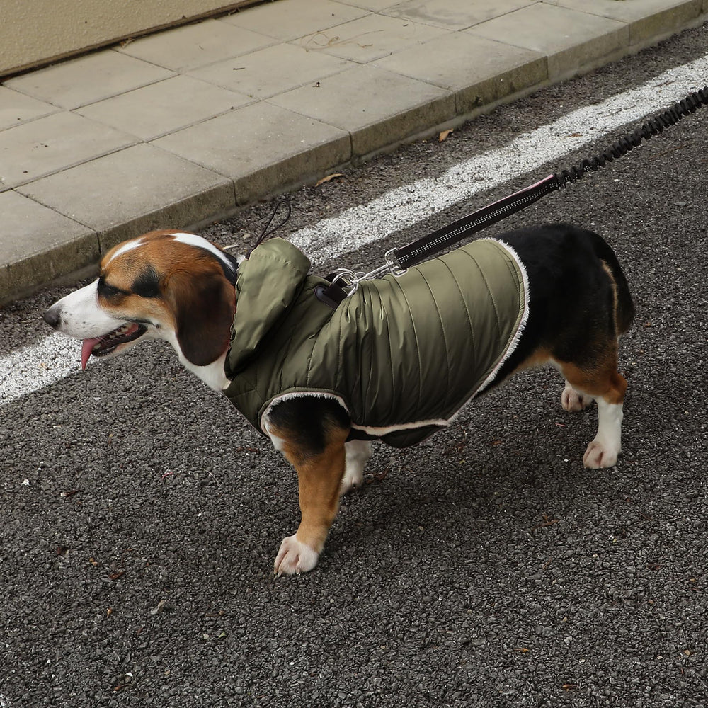 Veste Vecomfy chaude et légère pour chiens, respirante et durable.