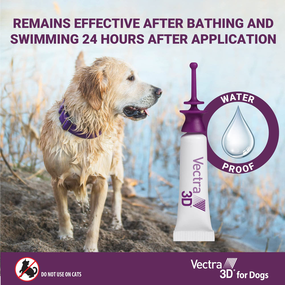 Protection sur 6 mois pour chiens pesant plus de 95 lb.