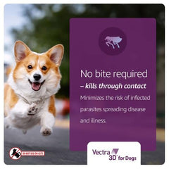 Protection contre puces, tiques et moustiques pour chien.