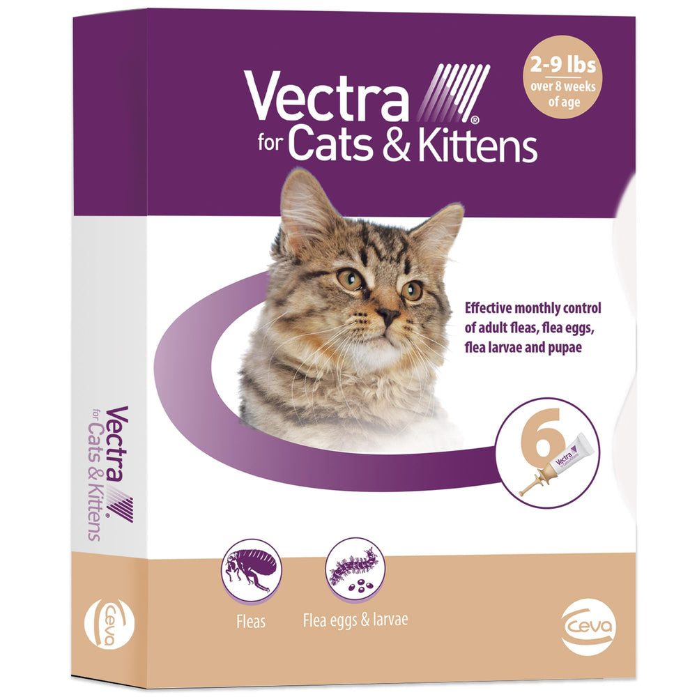 Vectra Chat: bouteille avec embout-applicateur rond pour une application précise sur la peau.