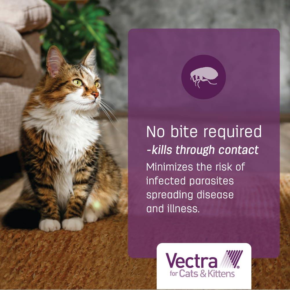 Vectra Chat Grand – protège le chat pendant un mois, usage intérieur et extérieur.