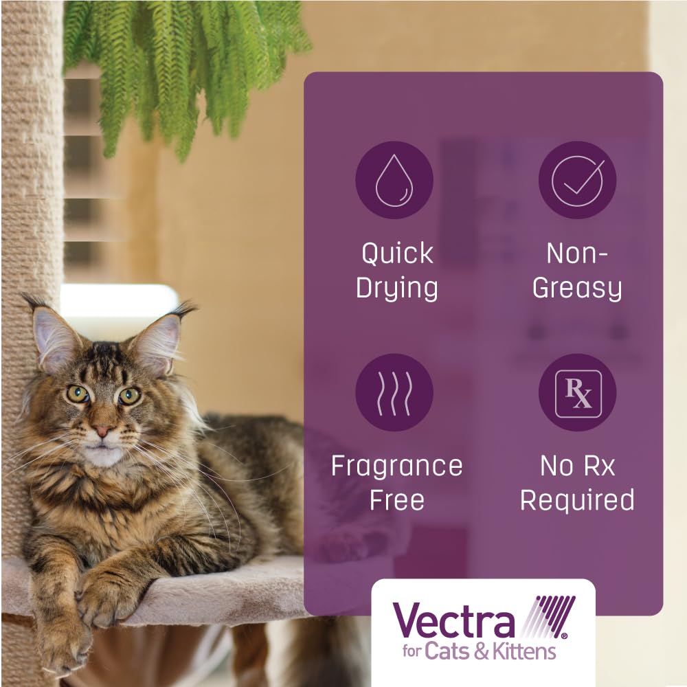 Vectra Chat: sans ordonnance, achat facile et pratique.