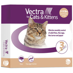 Vectra chaton embout arrondi: application facile sur la peau pour une protection mensuelle.