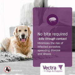 Vectra – cycle-puces-oeufs-larves, action globale sur les puces.