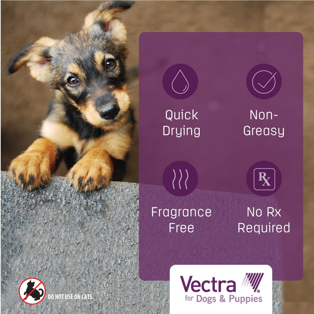 Vectra – non gras, confort du pelage après application.