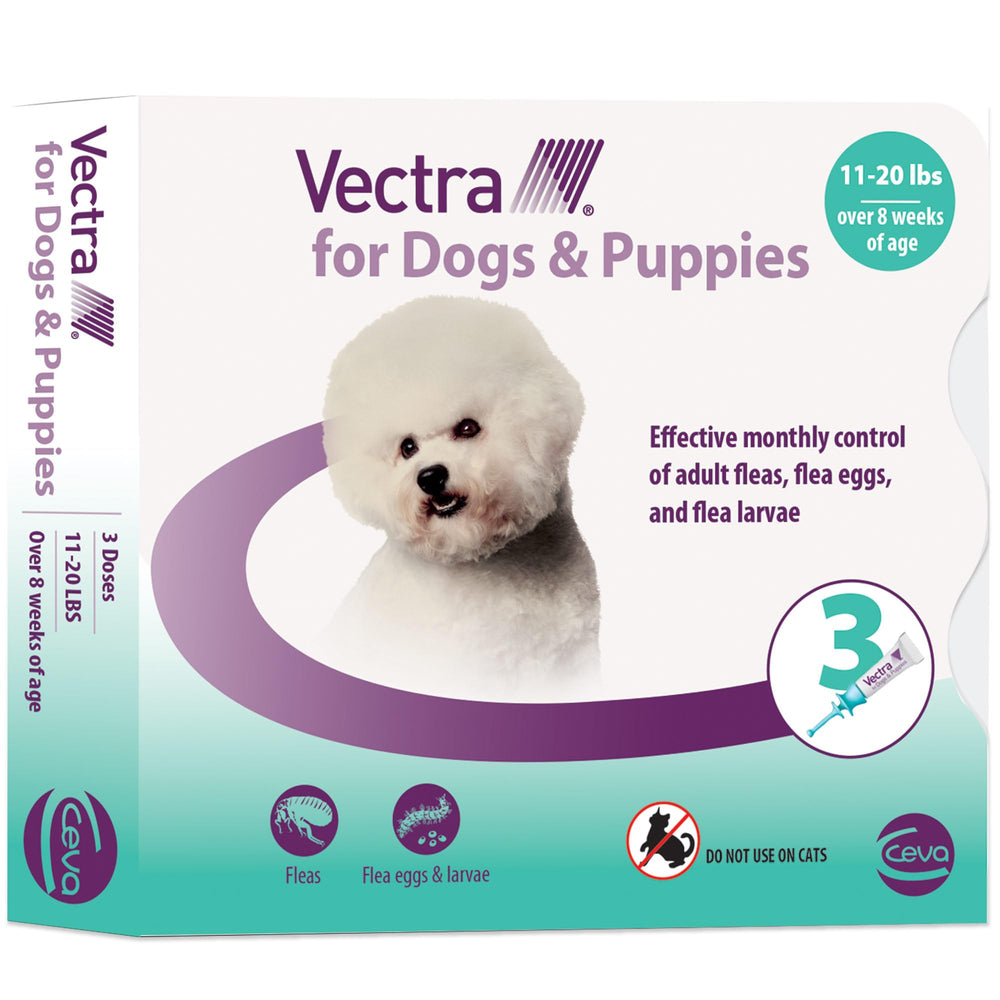 Vectra pour chiens et chiots – application-puces-applicateur, traitement pratique.