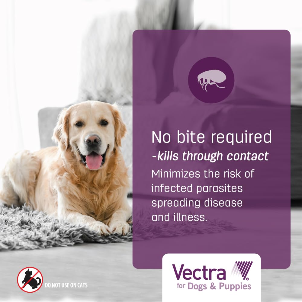 Vectra pour chiens: application non graisseuse qui sèche rapidement.