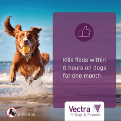 Vectra pour chiens: formule sans parfum pour un usage confortable.