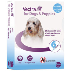 Flacon Vectra pour chiens prêt à l’emploi pour le traitement antipuces