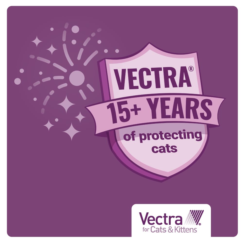 Vectra packs-3-6: options pratiques et économiques.